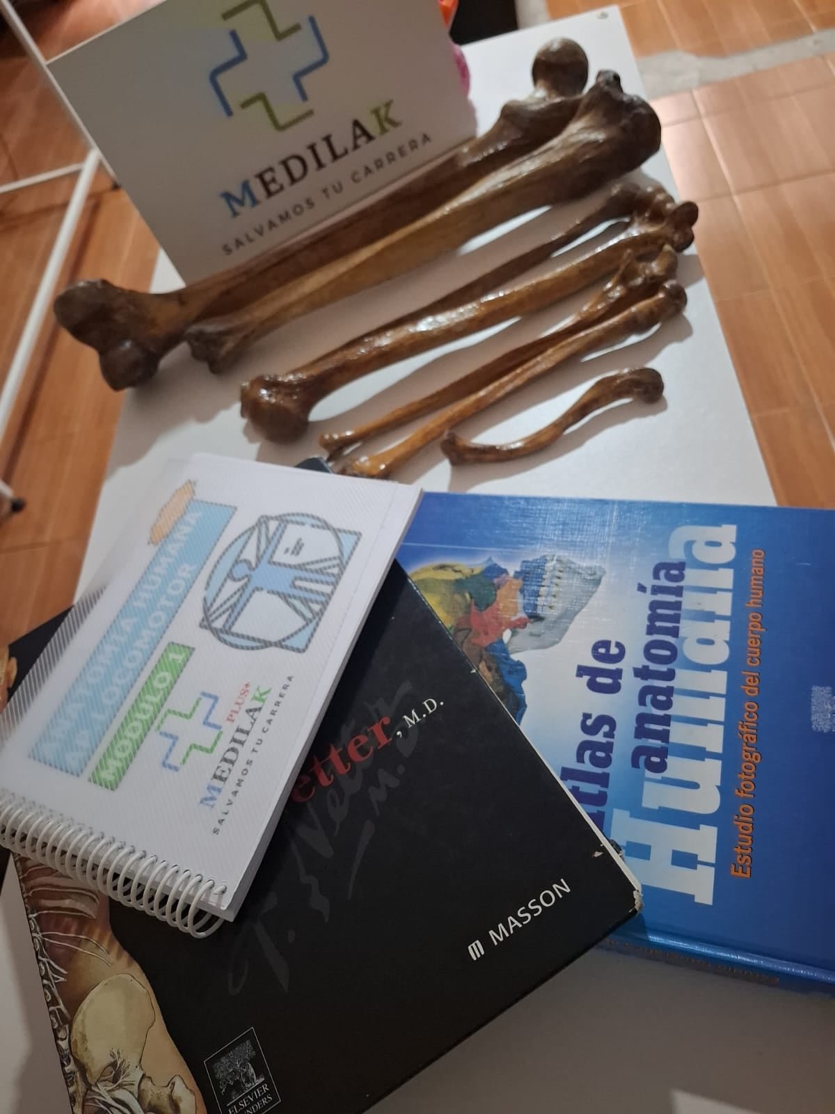 Material de anatomía en taller MEDILAK